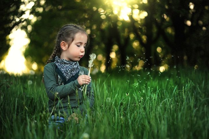 Child blowing pollen in an open meadow
