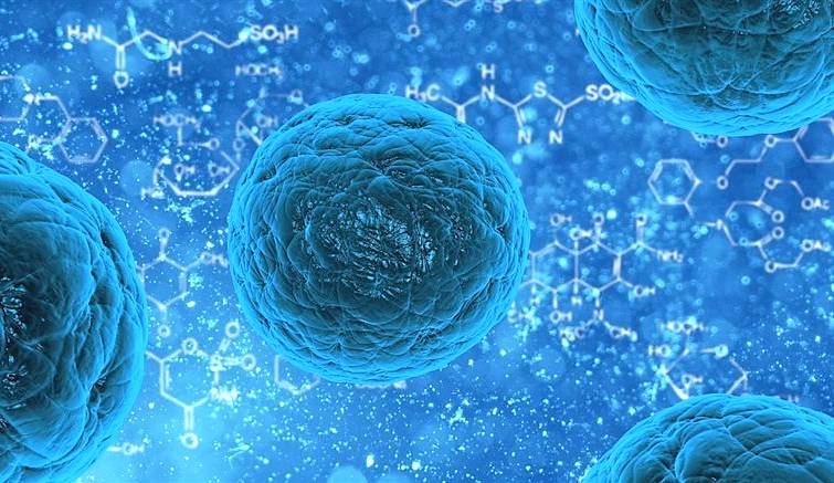 Cellular structure of skin cancer