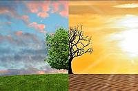 Soil change due to climate