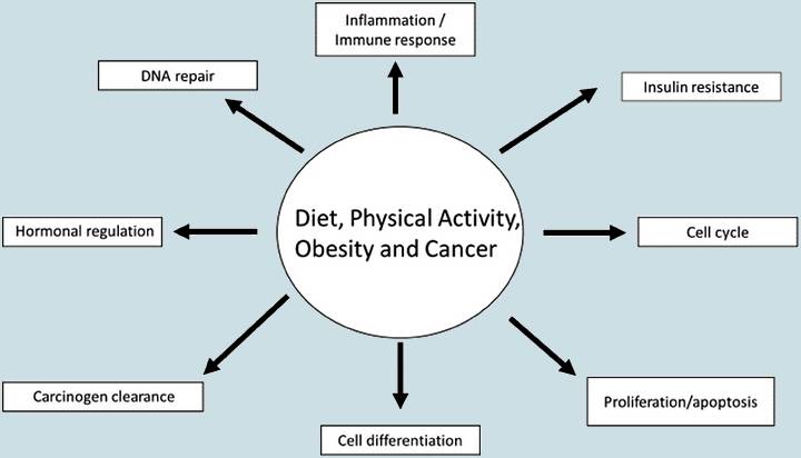Effect of lifestyle on health