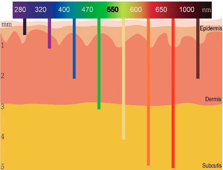 Skin penetration of sunlight